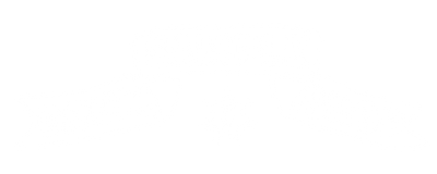 Drum Sample Shop Main logo
