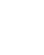 Drum Sample Shop star logo