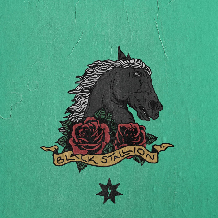 BLACK STALLION Sample Pack - Drum Sample Shop