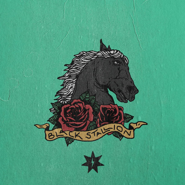 BLACK STALLION Sample Pack - Drum Sample Shop